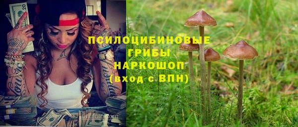 прущий лед Карпинск