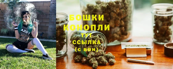 ПСИЛОЦИБИНОВЫЕ ГРИБЫ Карталы