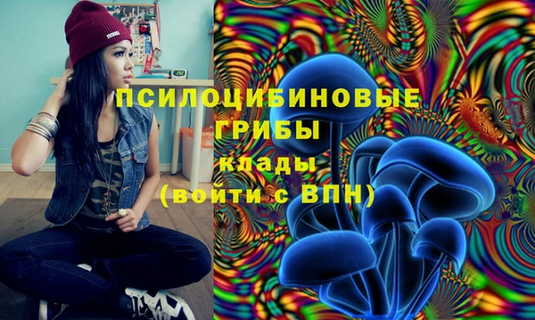 ПСИЛОЦИБИНОВЫЕ ГРИБЫ Карталы