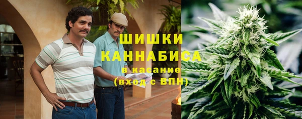 ПСИЛОЦИБИНОВЫЕ ГРИБЫ Карталы