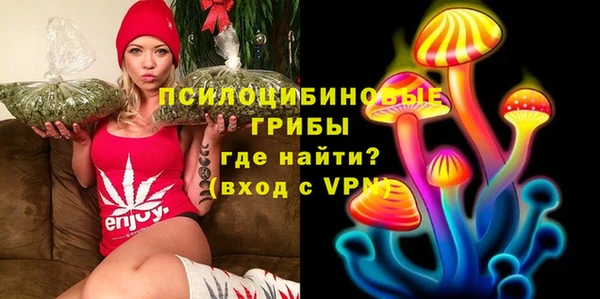 ПСИЛОЦИБИНОВЫЕ ГРИБЫ Карталы
