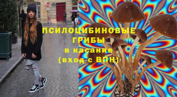 прущий лед Карпинск