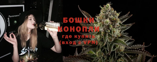 ПСИЛОЦИБИНОВЫЕ ГРИБЫ Карталы